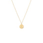 Cosmic Constellations! 16" + 2" Zodiac Coin Necklace (All Signs)