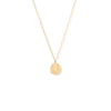 Cosmic Constellations! 16" + 2" Zodiac Coin Necklace (All Signs)