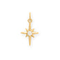 Dainty 14 Karat Gold Plated CZ Northern Star Charm