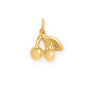 Dainty 14 Karat Gold Plated Two Cherries with Leaf Charm