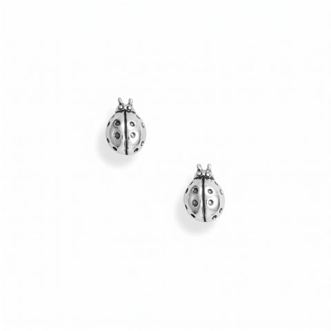 Oxidized Ladybug Stud Earrings