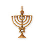Silver or Gold 3D Hanukkah Charm