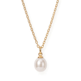 16" 18 Karat Gold PVD Stainless Steel Cultured Freshwater Pearl Drop Necklace