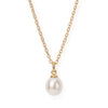 16" 18 Karat Gold PVD Stainless Steel Cultured Freshwater Pearl Drop Necklace