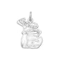 Michigan State Charm