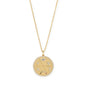 16" + 2" Celestial Medallion Necklace