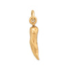 Silver or Gold 3D Chile Pepper Charm