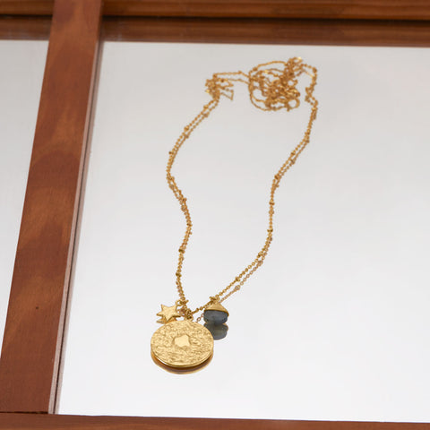 23" 14 Karat Gold Plated Labradorite Disk and Charm Necklace