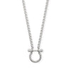 18" + 2" Stainless Steel Horseshoe Carabiner Necklace