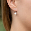 6mm Cultured Freshwater Pearl Euro Wire Earrings