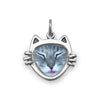 Cat Face Picture Frame Charm